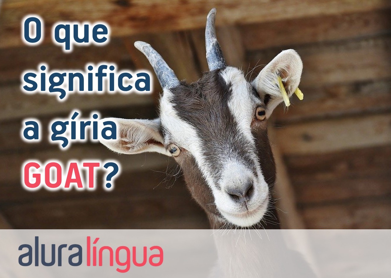 O que significa a gíria GOAT?