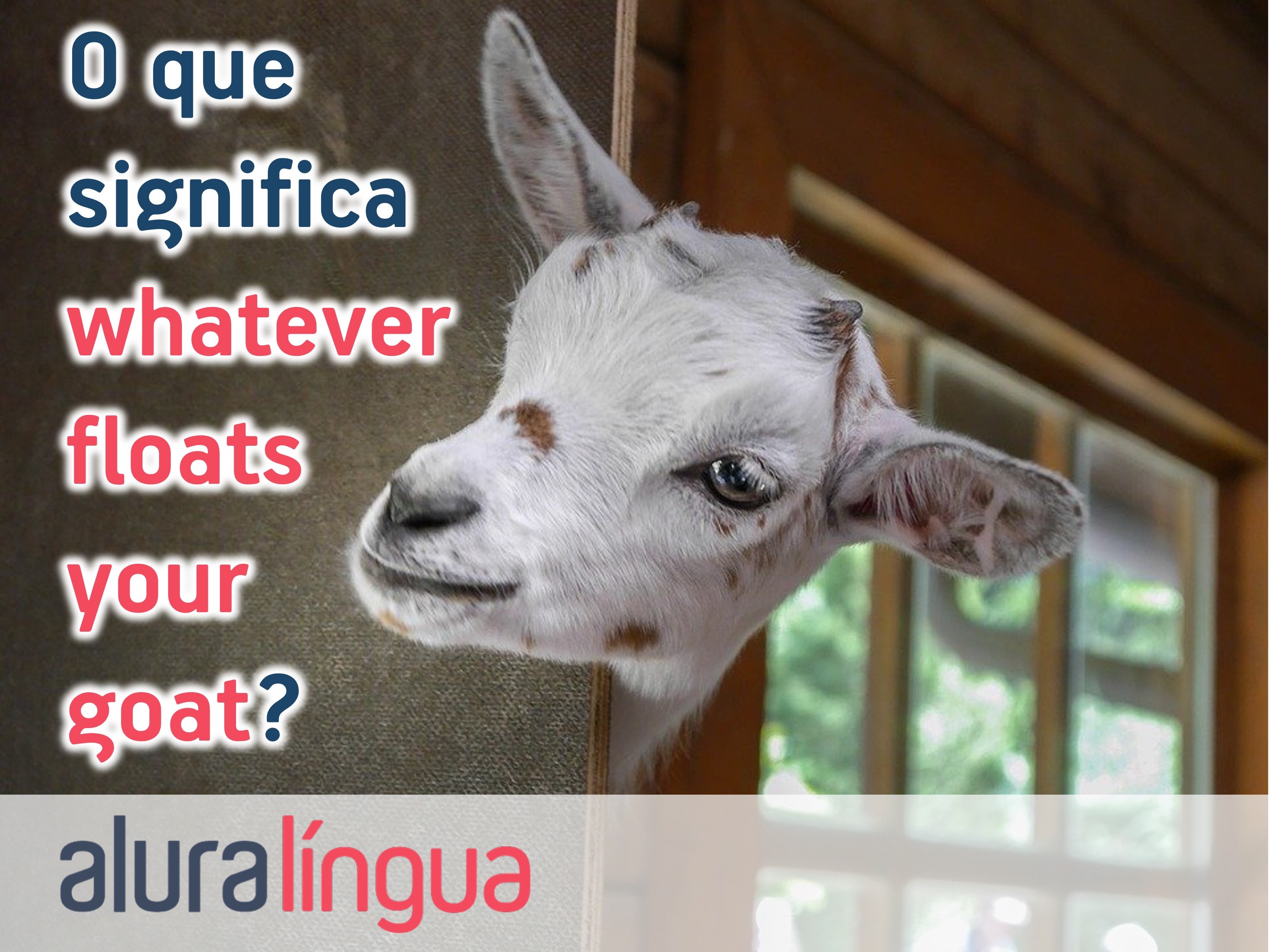 O que significa whatever floats your goat? #inset