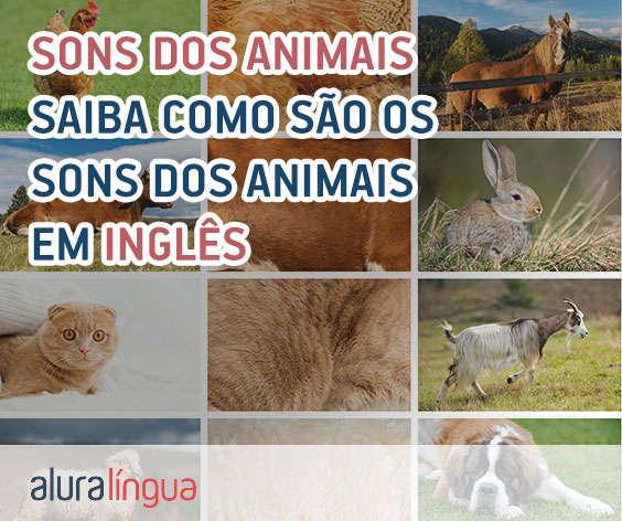 Sons dos animais - Saiba como são os sons dos animais em inglês #inset