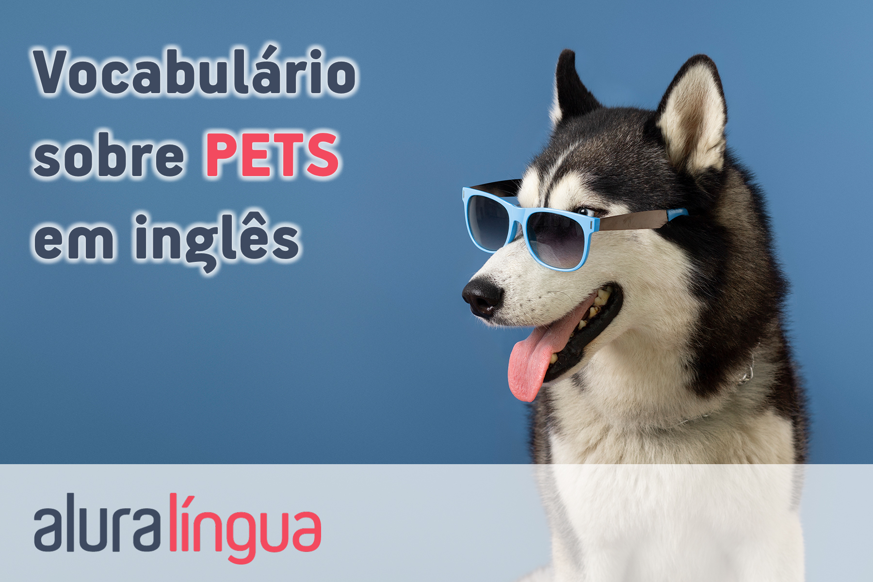 Vocabulário sobre pets em inglês #inset