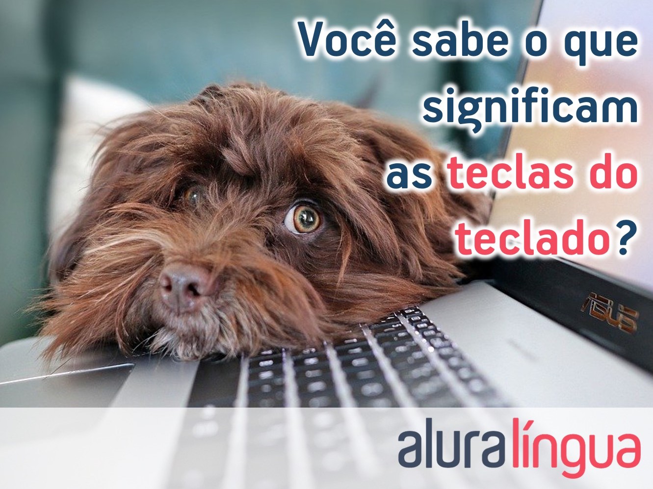 Como mudar os botões para o teclado + Tradução